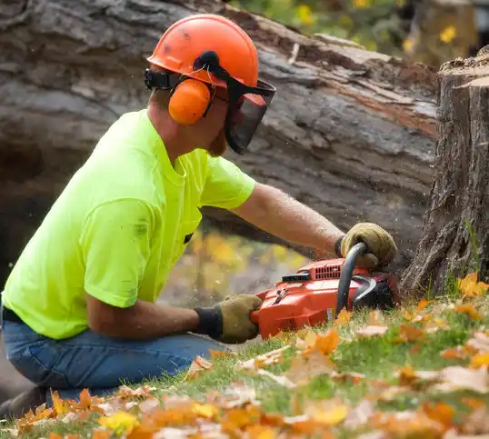 tree services Tribes Hill